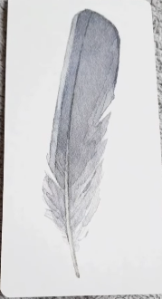 Divine Feather Messenger